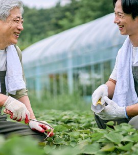 □□ 스마트팜 원예용 설치사례